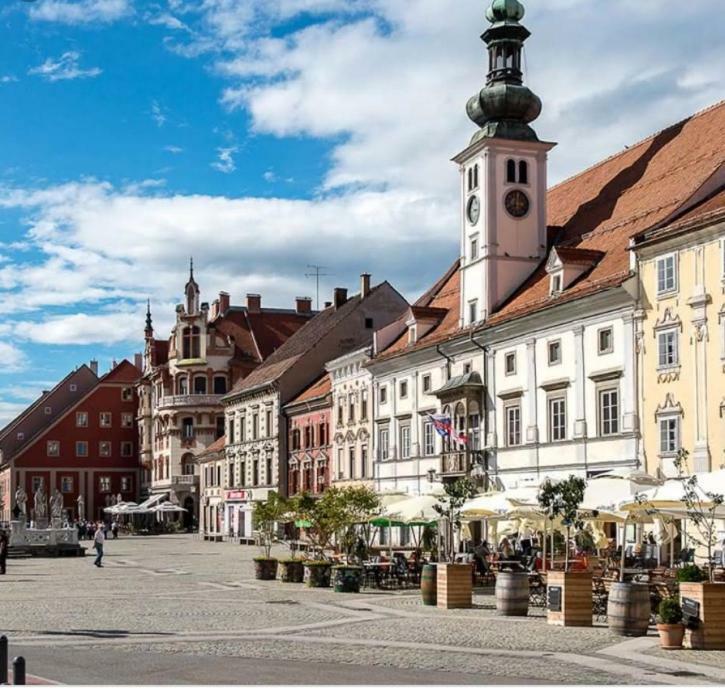Apartmán Bella Donna Maribor Exteriér fotografie